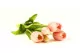 K&uuml;nstlicher Tulpenstrau&szlig; Hellrosa 4