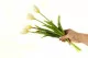 Bouquet of artificial Tulips Cream 3
