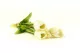 Bouquet of artificial Tulips Cream 4