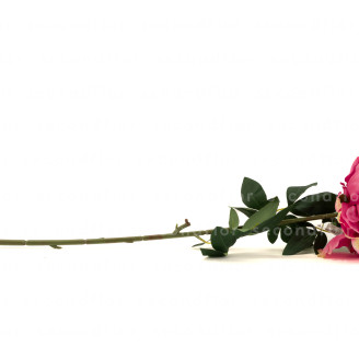 Artificial Giant Peony - Dark Pink