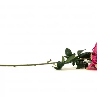 Peonia XXL artificiale Rosa