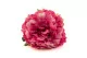 Peon&iacute;a XXL artificial Rosa 2