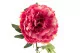 Artificial XXL Peony Pink 5