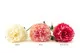 Peonia XXL artificiale Rosa 7