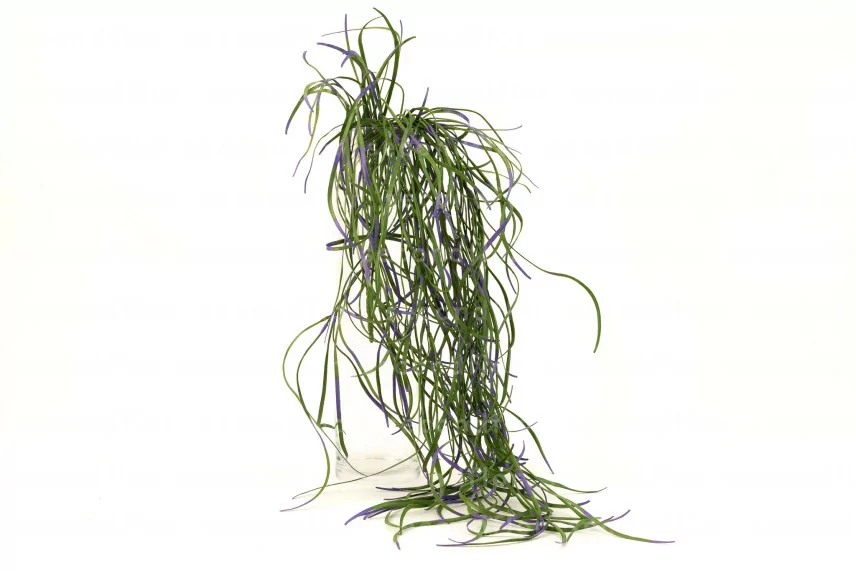 Colgante de Hierba Artificial Ign&iacute;fuga - Verde & Violeta