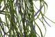 Chute d'Herbe artificielle - Ignifug&eacute;e 2
