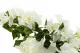 Bouganville artificiale Ricadente Bianco 6