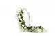 Bouganville artificiale Ricadente Bianco 5