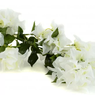 Buganvilla artificial Colgante Blanco