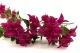 Bouganville artificiale Ricadente Fucsia 5