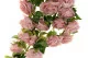 Rose artificiali Ricadenti Rosa 5