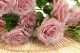 K&uuml;nstlicher Rosenh&auml;nger Rosa 2