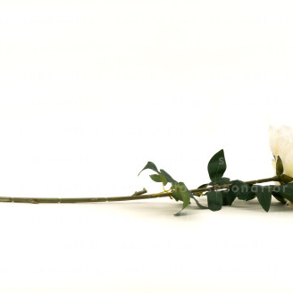 Pivoine G&eacute;ante Artificielle - Cr&egrave;me