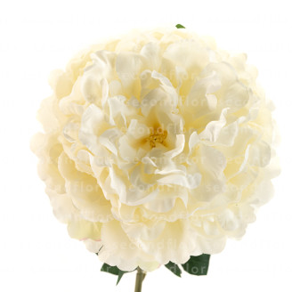 Pivoine G&eacute;ante Artificielle - Cr&egrave;me