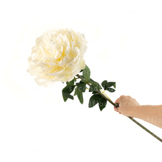 Peonia Gigante Artificiale - Crema