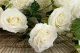 Rose artificiali Ricadenti Crema 2