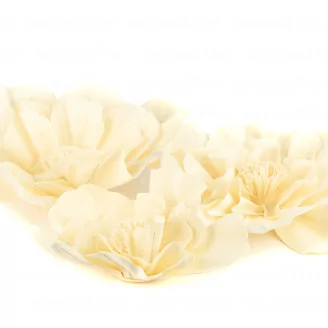Camelia Gigante artificiale Crema (x3)
