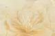 Artificial Giant Camellia Cream (x3) 3
