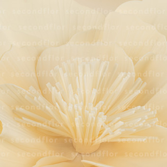 Artificial Giant Camellia - Set of 3 - Cream