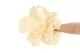 Camelia Gigante artificiale Crema (x3) 6