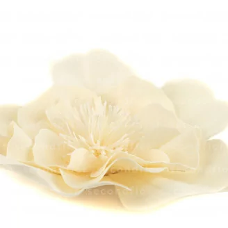 Camelia Gigante artificiale Crema (x3)