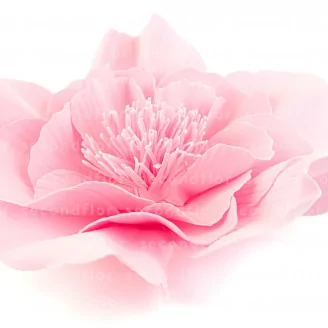 Camelia Gigante artificial Rosa (x3)