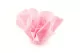 Camelia Gigante artificial Rosa (x3) 6