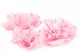 Cam&eacute;lia G&eacute;ant artificiel Rose (x3) 4