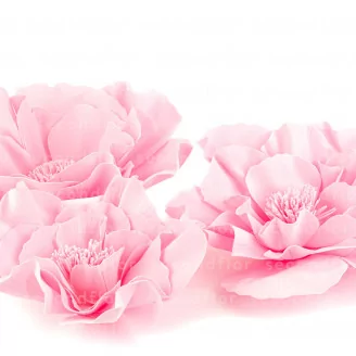 Camelia Gigante artificial Rosa (x3)