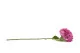 Hortensia G&eacute;ant artificiel Rose 4