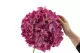 K&uuml;nstliche Riesenhortensie Rosa 5