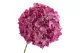 Hortensia G&eacute;ant artificiel Rose 3