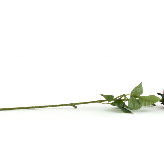 K&uuml;nstliche Rose - Rosa