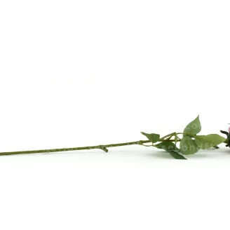 Rosa Artificial - Rosa