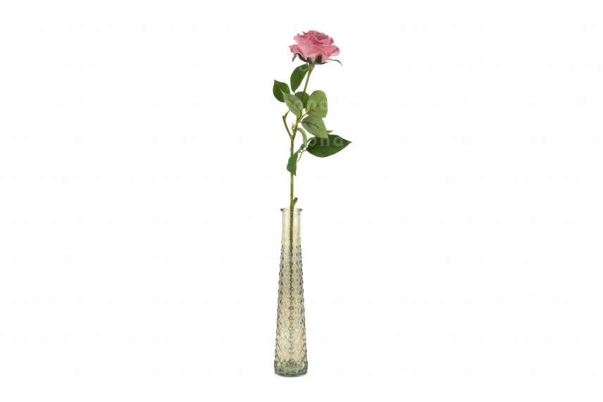 Rosa Artificiale - Rosa