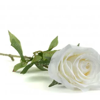 Rosa Artificial - Blanco