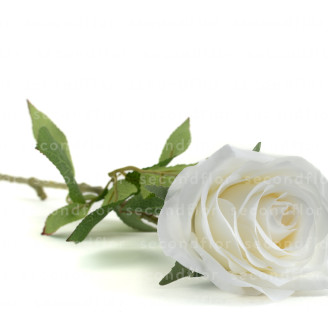 Rose Artificielle - Blanc