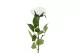 Rose artificielle Blanc 5