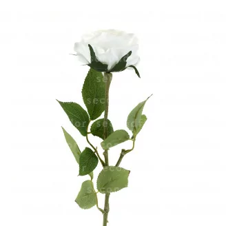 Rose artificielle Blanc