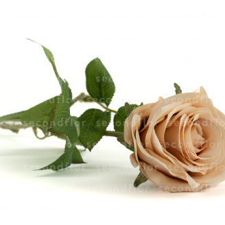 K&uuml;nstliche Rose - Vanille