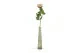 K&uuml;nstliche Rose Vanille 1