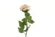 K&uuml;nstliche Rose Vanille 5