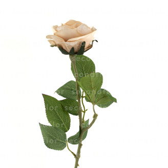K&uuml;nstliche Rose - Vanille