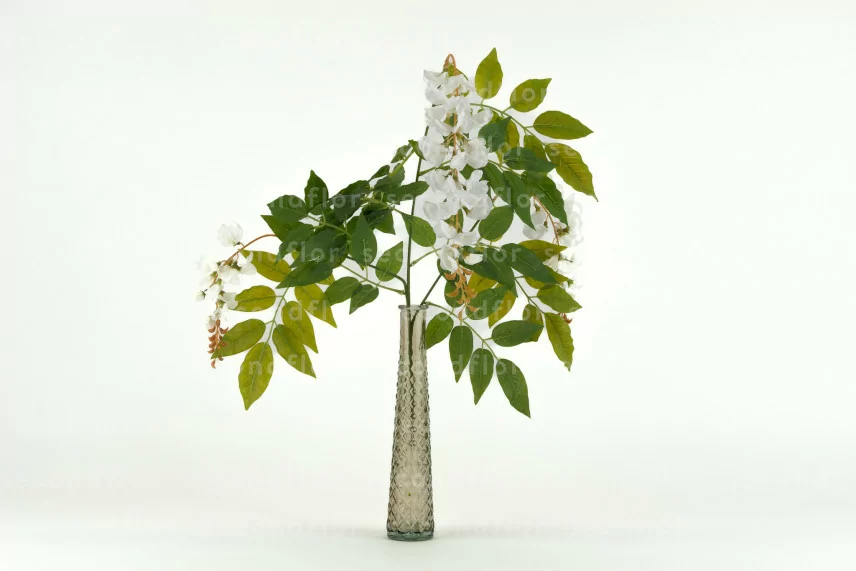 Glicine Artificiale - Bianco
