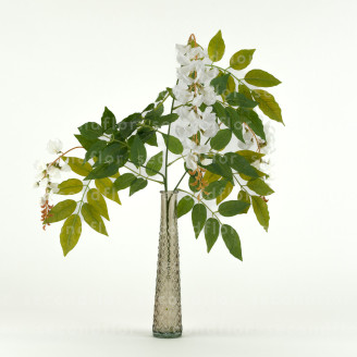 Glycine Artificielle - Blanc