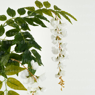 Glycine Artificielle - Blanc