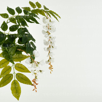 Glicine Artificiale - Bianco