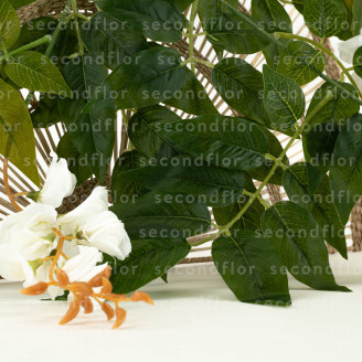 Glycine Artificielle - Blanc