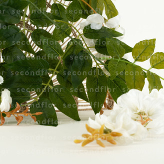 Glycine Artificielle - Blanc