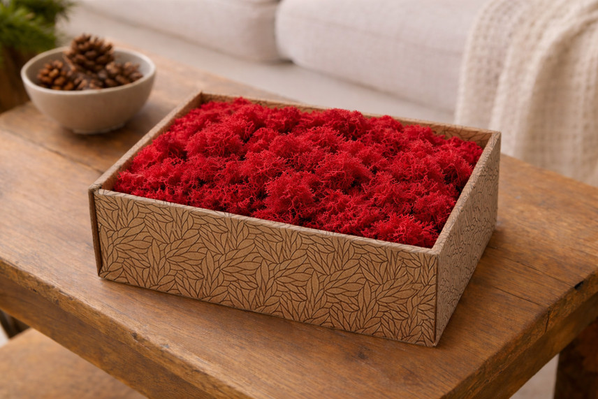 Lichene preservato - Creabox M - Rosso